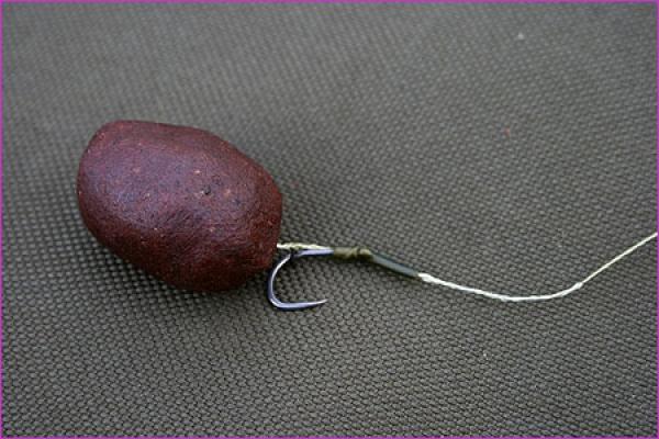 nash - 1288610071716979main.jpg